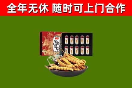 北海市回收冬虫夏草价格